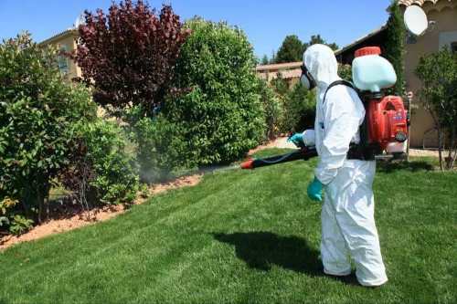 Wooster Mosquito Removal Technicians